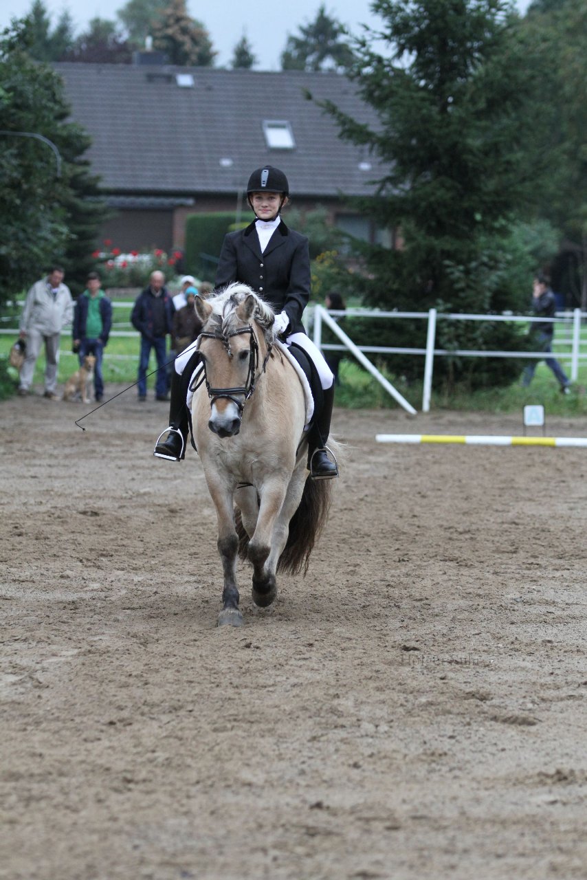 Bild 429 - WBO-Turnier am 18.9.11